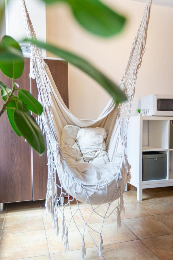 Dream Guesthouse Brašov Exteriér fotografie