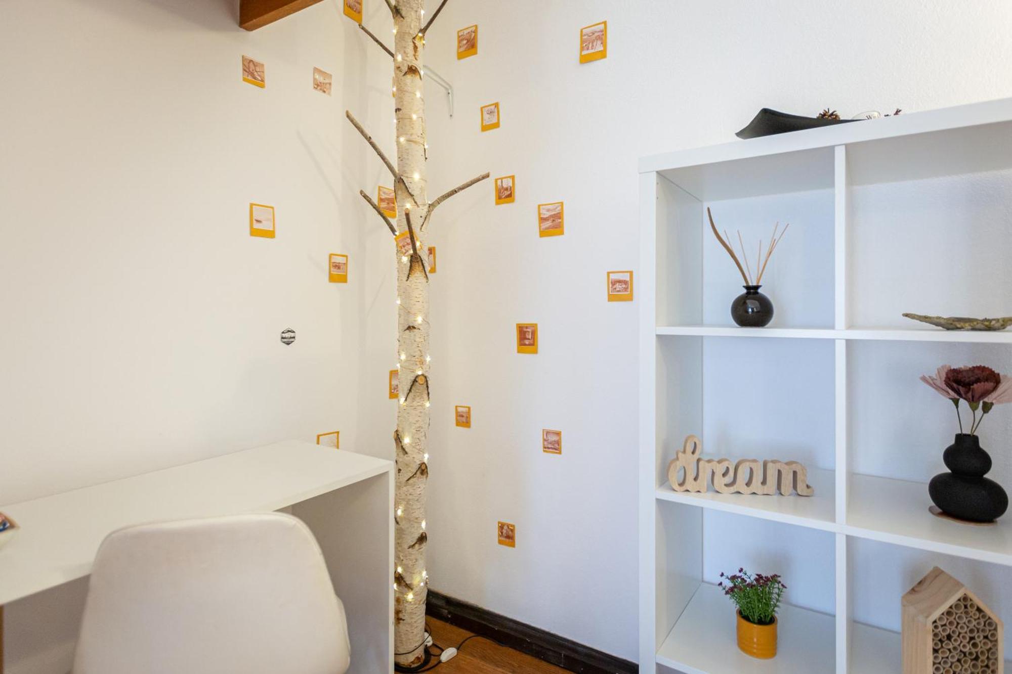 Dream Guesthouse Brašov Exteriér fotografie