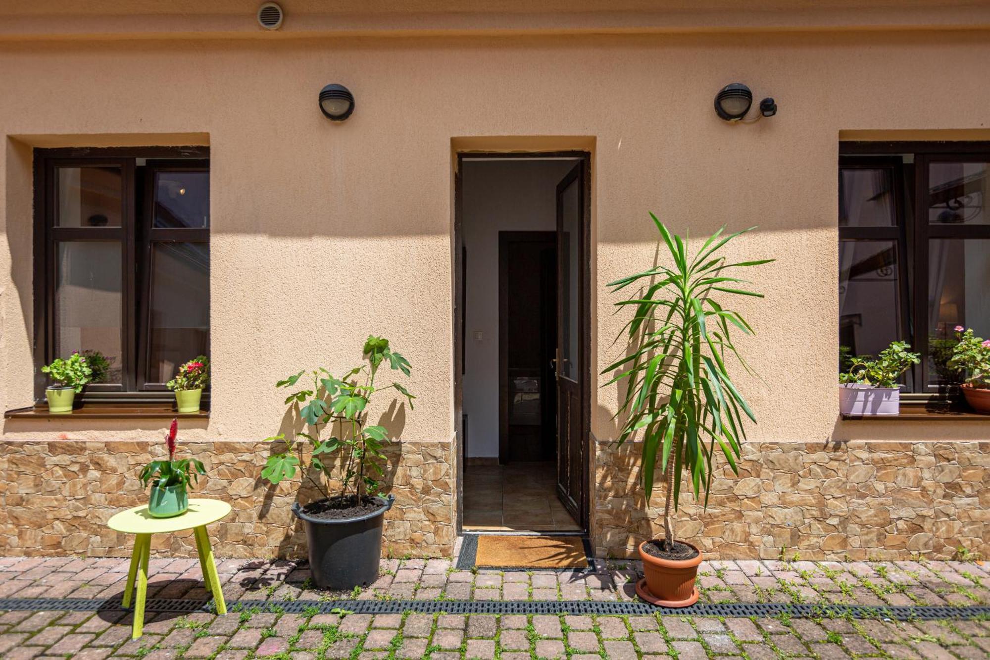 Dream Guesthouse Brašov Exteriér fotografie